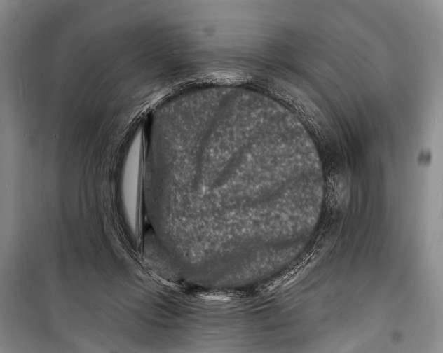 X0000098200358200805151234