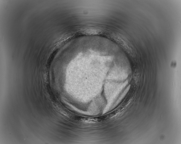 X0000098200359200805151234