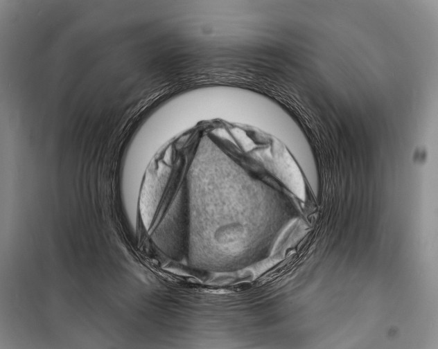X0000098200360200805151234