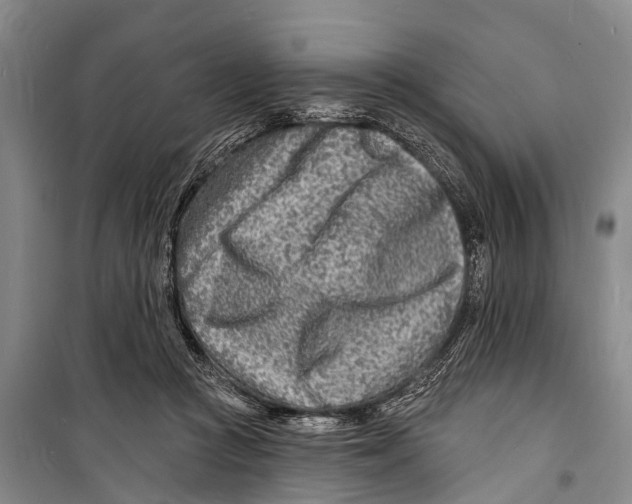 X0000098200361200805151234
