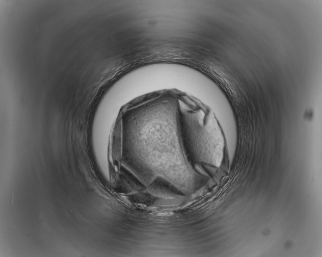 X0000098200362200805151234