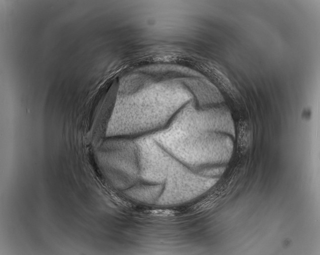 X0000098200363200805151234