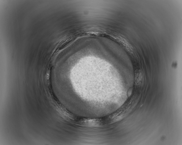 X0000098200365200805151234