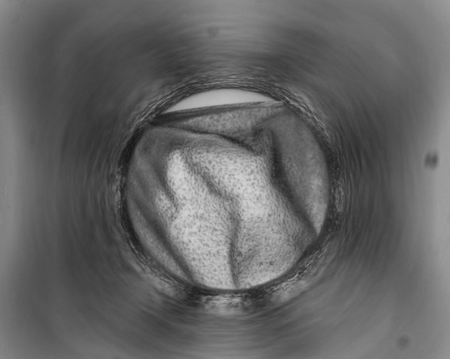 X0000098200366200805151234