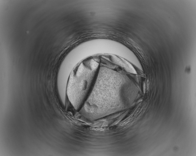 X0000098200370200805151234