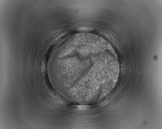 X0000098200371200805151234