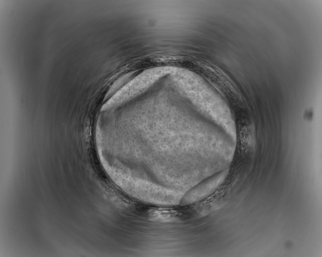 X0000098200372200805151234