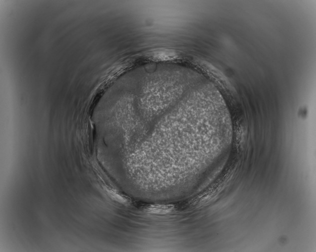 X0000098200373200805151234
