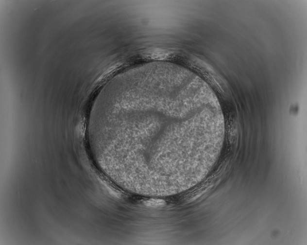 X0000098200374200805151234