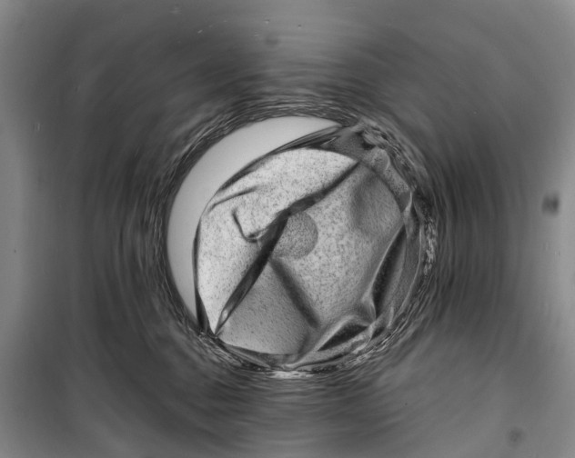 X0000098200376200805151234