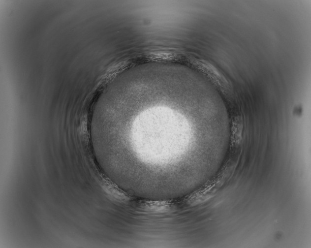 X0000098200377200805151234