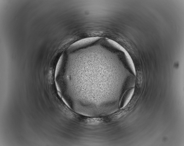 X0000098200378200805151234