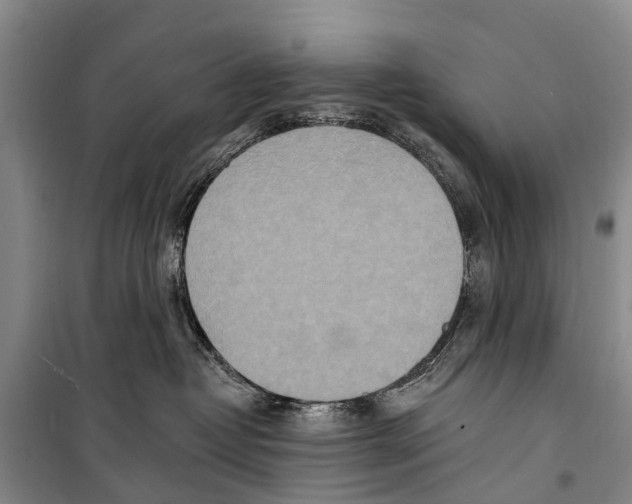X0000098200382200805151234