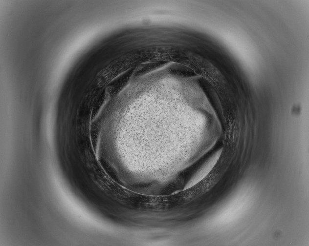 X0000098200383200805151234
