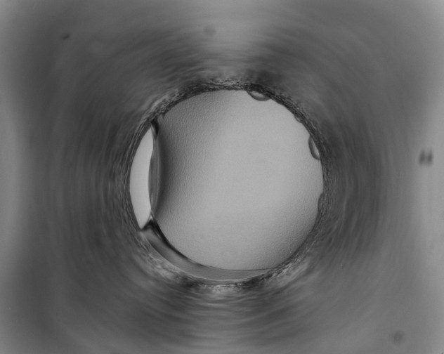 X0000098200384200805151234