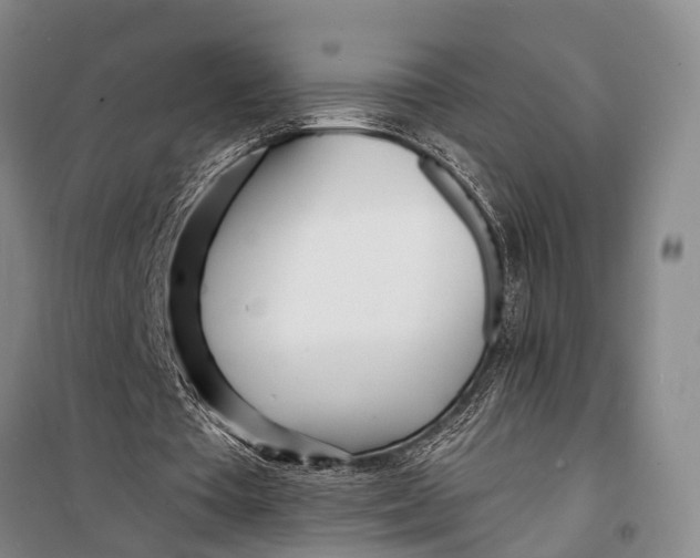 X0000098200385200805151234