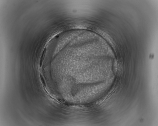 X0000098200386200805151234