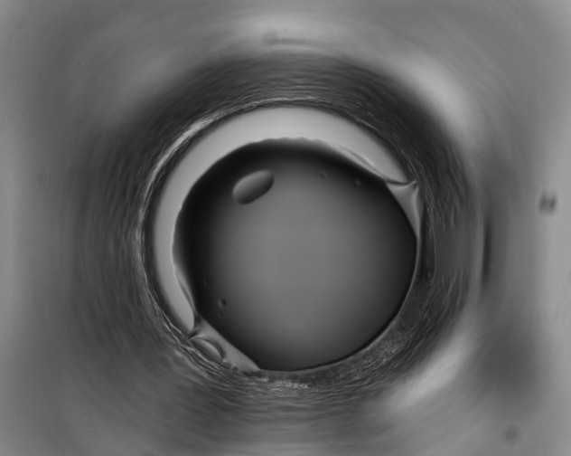 X0000098200387200805151234