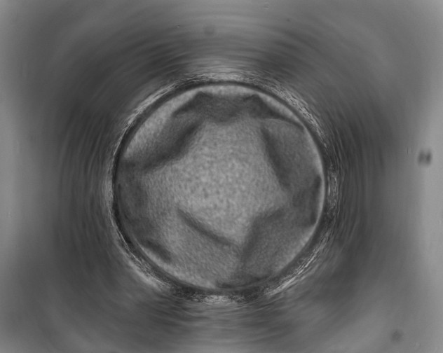 X0000098200390200805151233