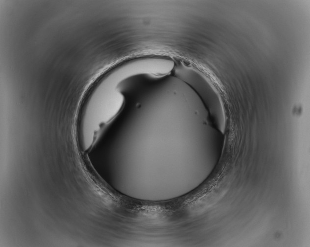 X0000098200391200805151233