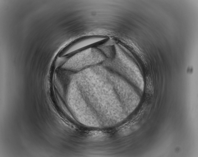 X0000098200392200805151233