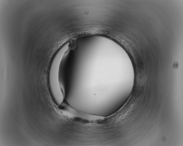 X0000098200393200805151233