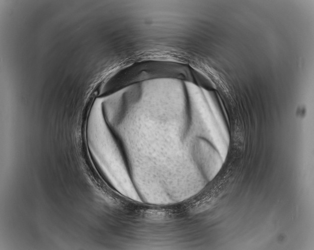 X0000098200394200805151233
