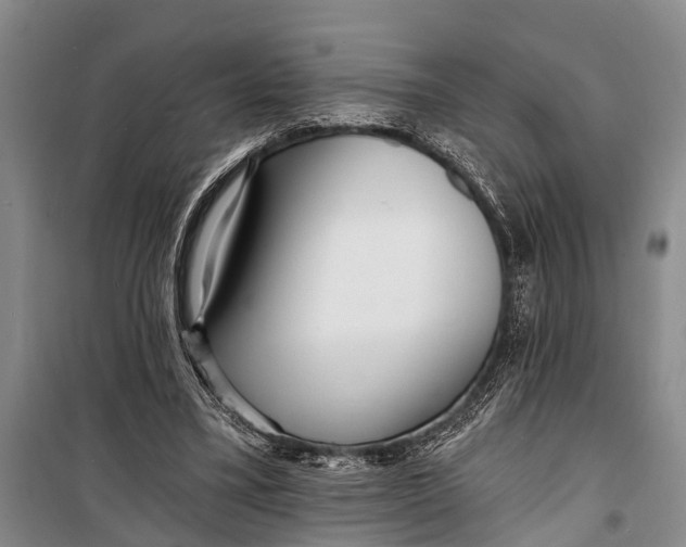X0000098200395200805151233