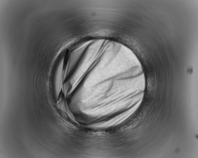 X0000098200396200805151233