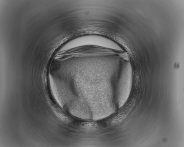 X0000098200398200805151233