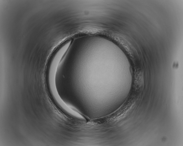X0000098200399200805151233