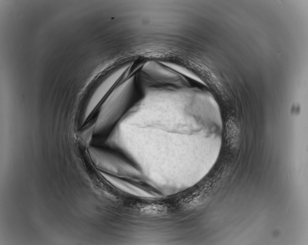 X0000098200400200805151233