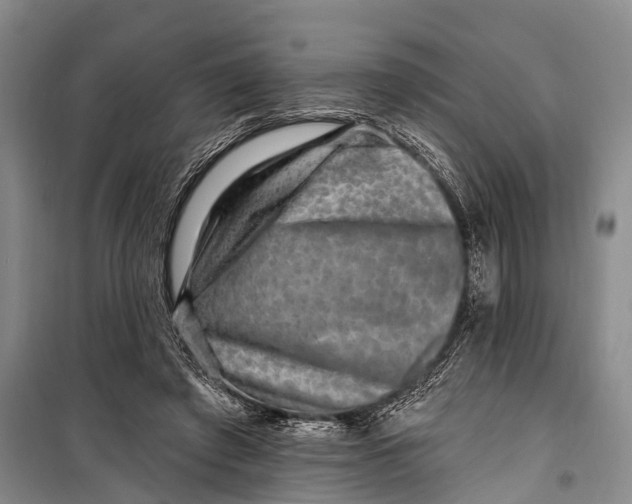 X0000098200401200805151233