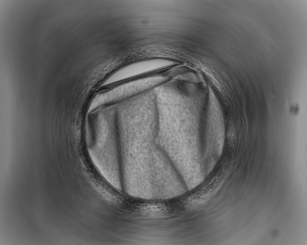 X0000098200402200805151233