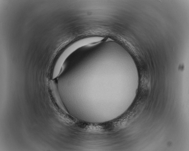 X0000098200403200805151233