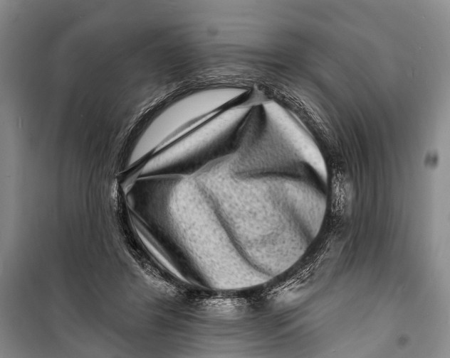 X0000098200404200805151233