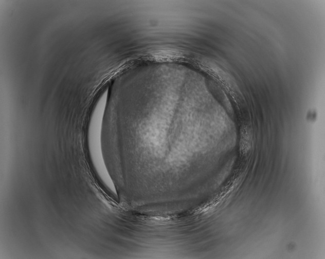 X0000098200405200805151233