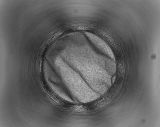 X0000098200406200805151233