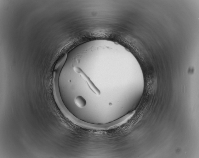 X0000098200407200805151233