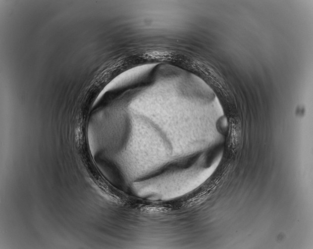 X0000098200408200805151233