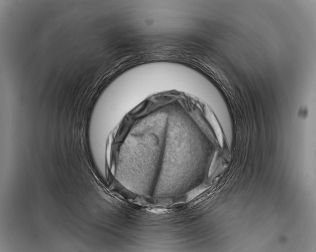 X0000098200409200805151233