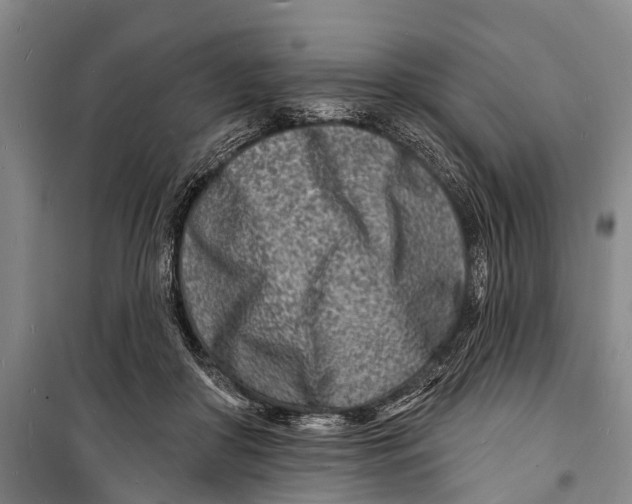 X0000098200410200805151233