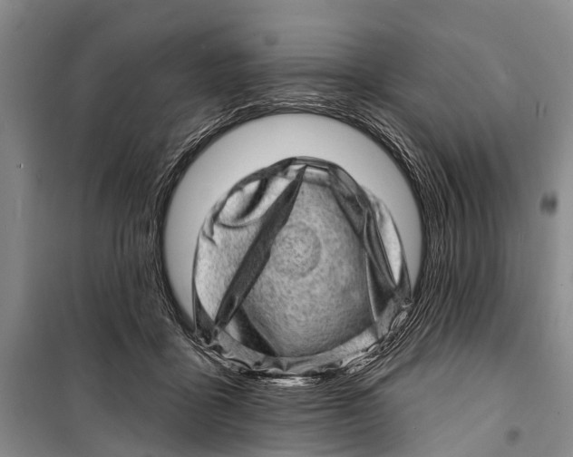 X0000098200411200805151233
