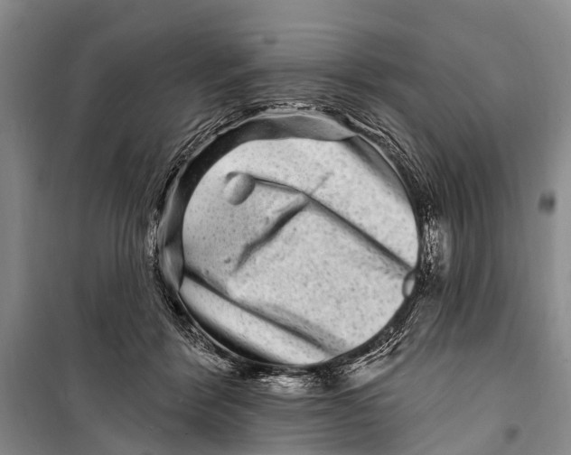 X0000098200412200805151233