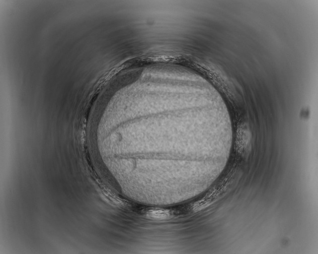 X0000098200413200805151233