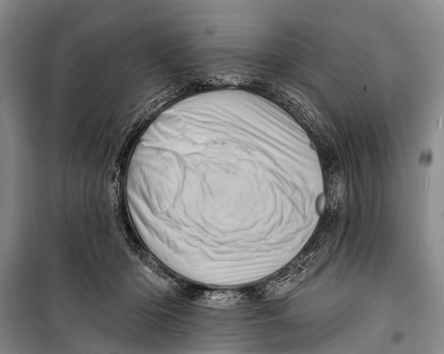 X0000098200414200805151233