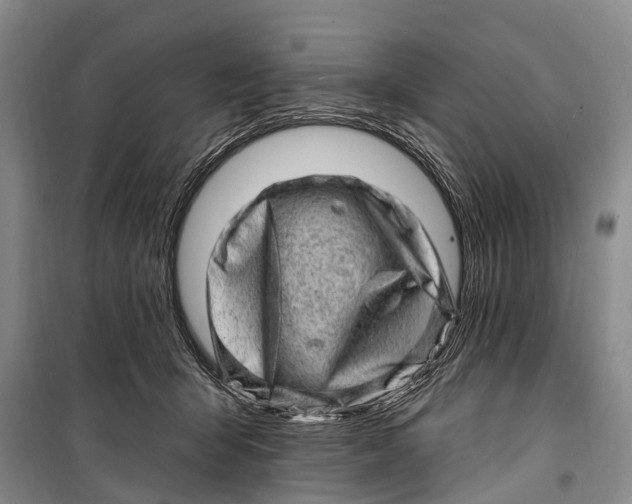 X0000098200415200805151233
