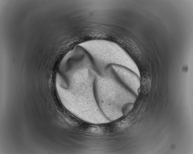 X0000098200416200805151233