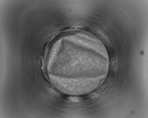 X0000098200417200805151233