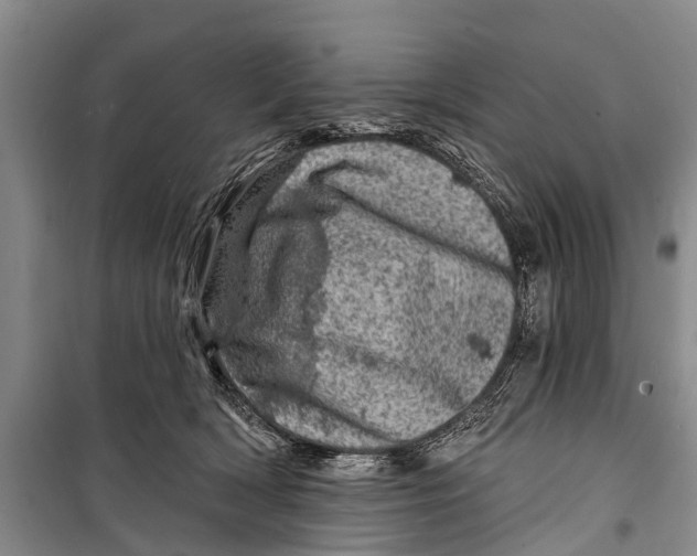 X0000098200418200805151233